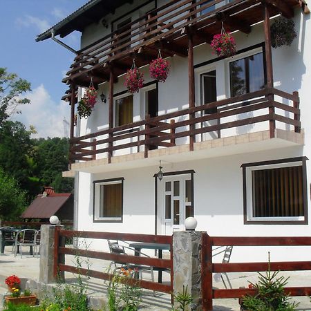 Vila Doina Branului 브란 외부 사진