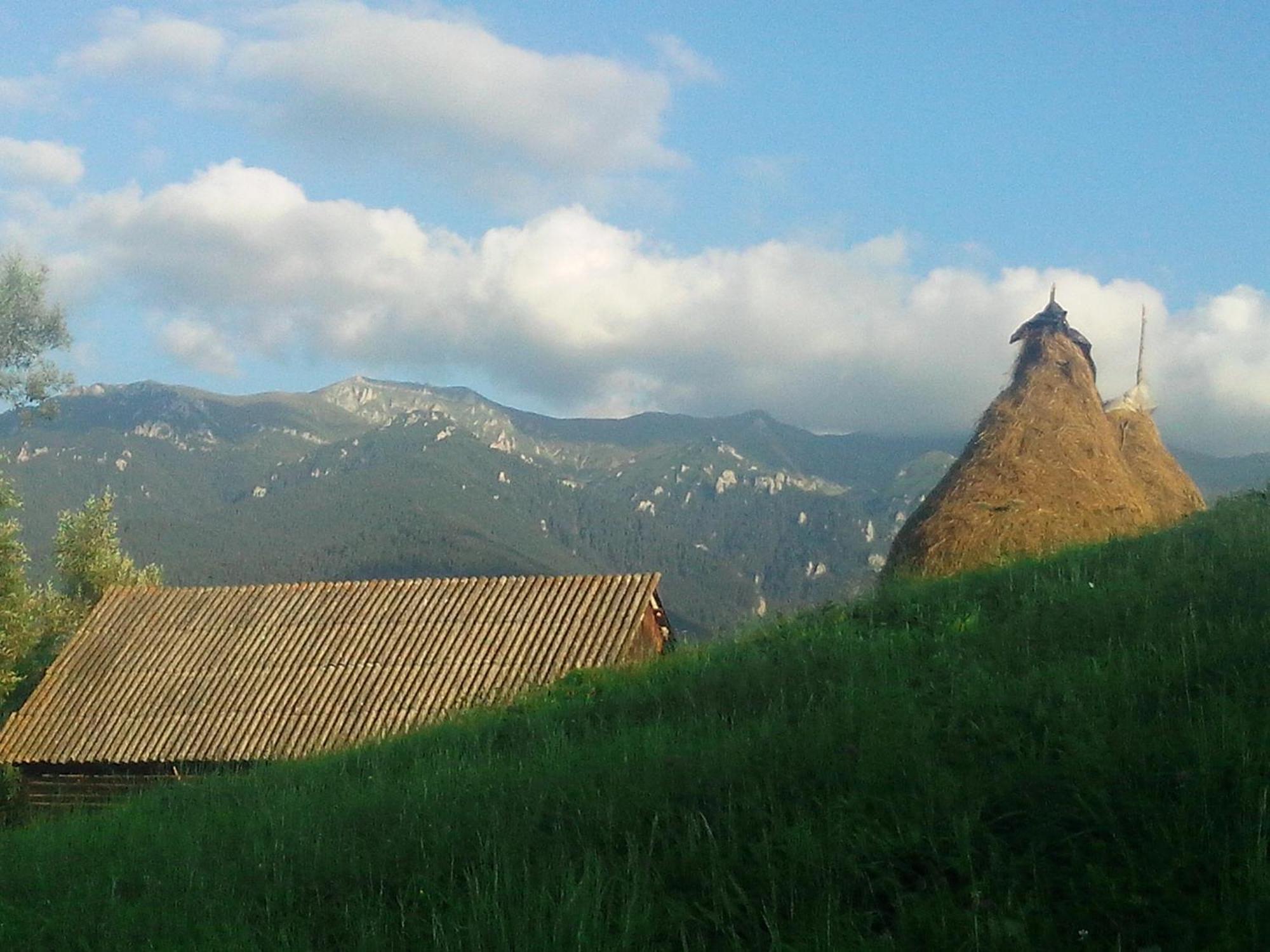 Vila Doina Branului 브란 외부 사진