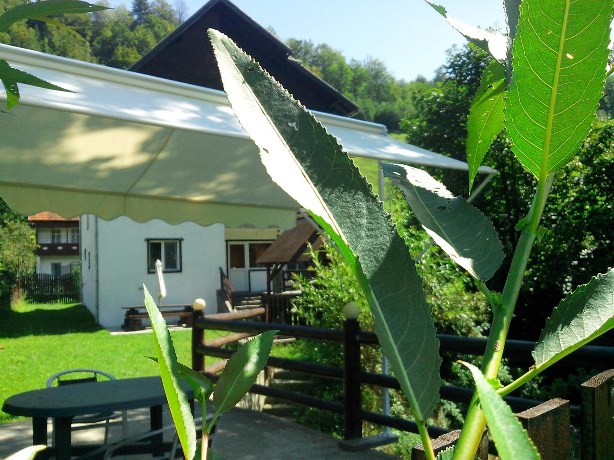Vila Doina Branului 브란 외부 사진