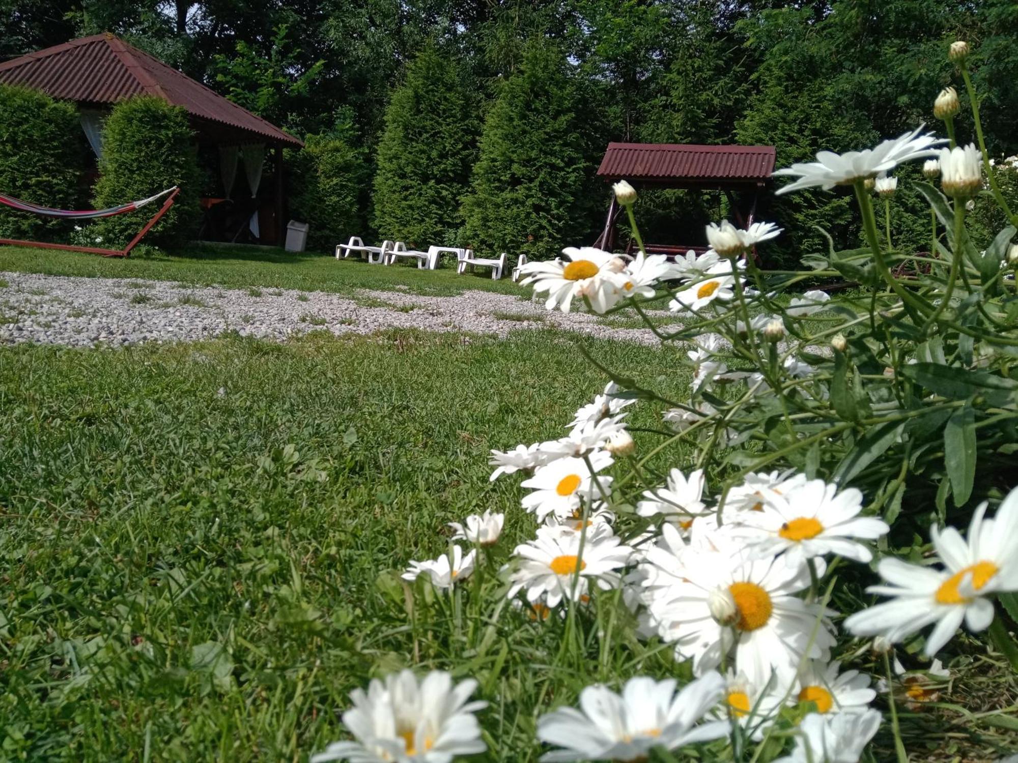 Vila Doina Branului 브란 외부 사진